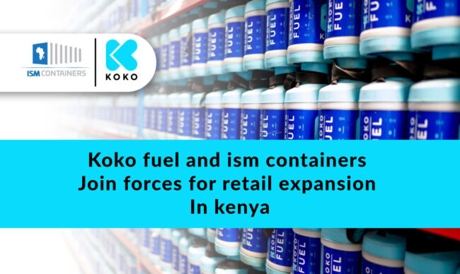 koko-and-ISM